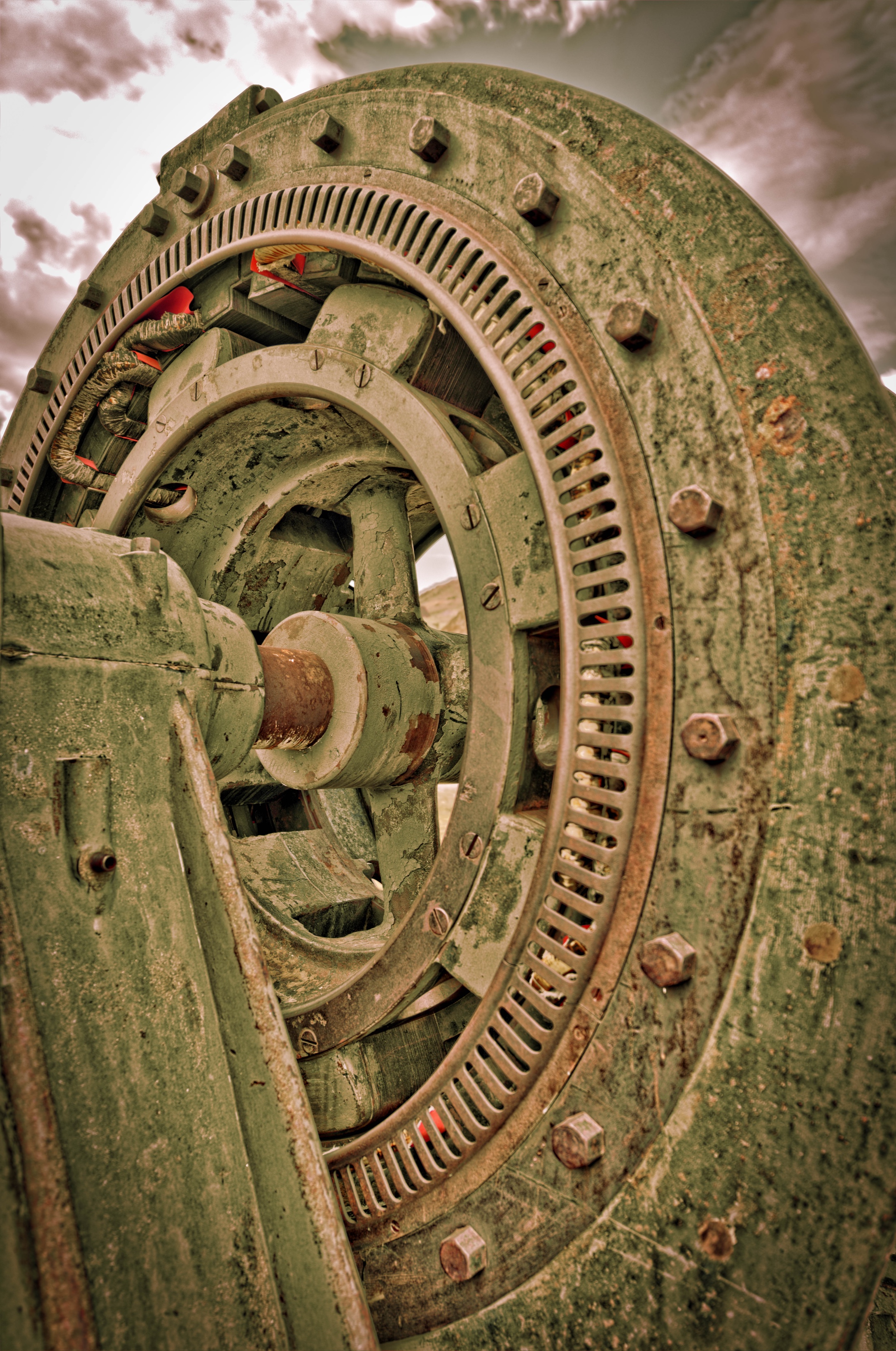 Feral Machine2